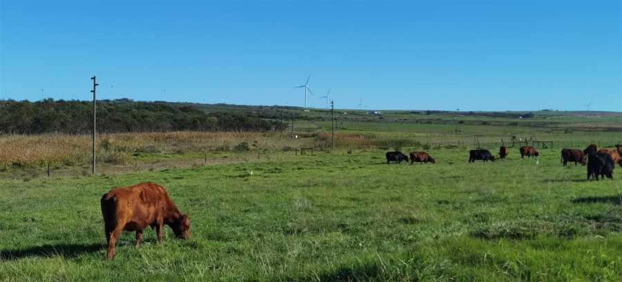 0 Bedroom Property for Sale in St Francis Bay Eastern Cape
